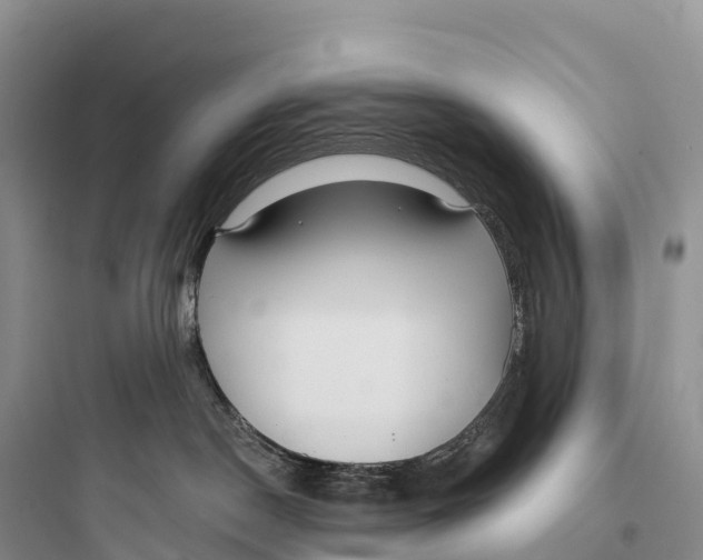 X0000097590190200803211645