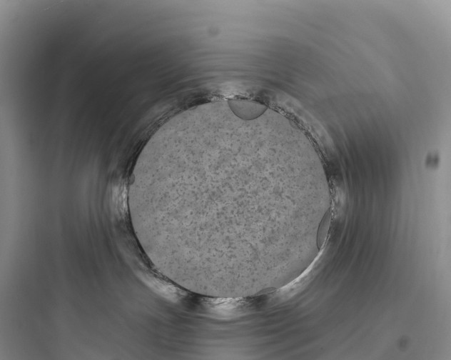 X0000097590191200803211645