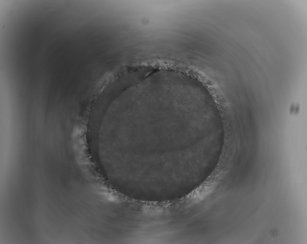 X0000097590192200803211645