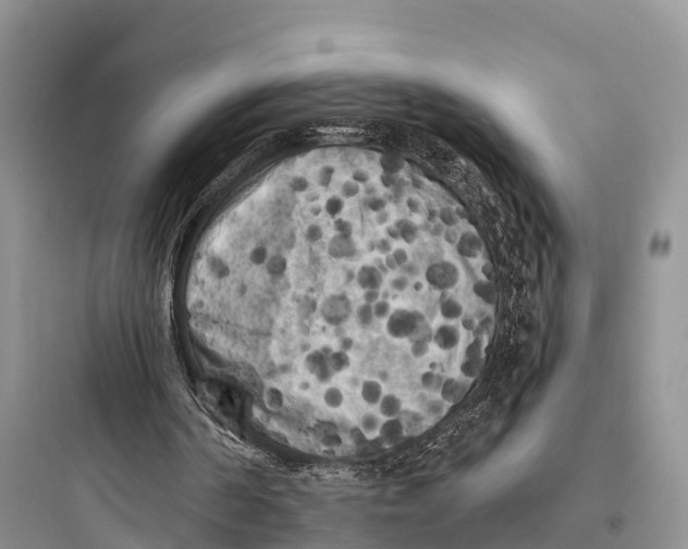 X0000097590194200803211644