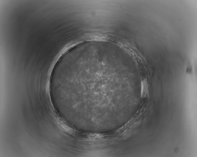 X0000097590195200803211644