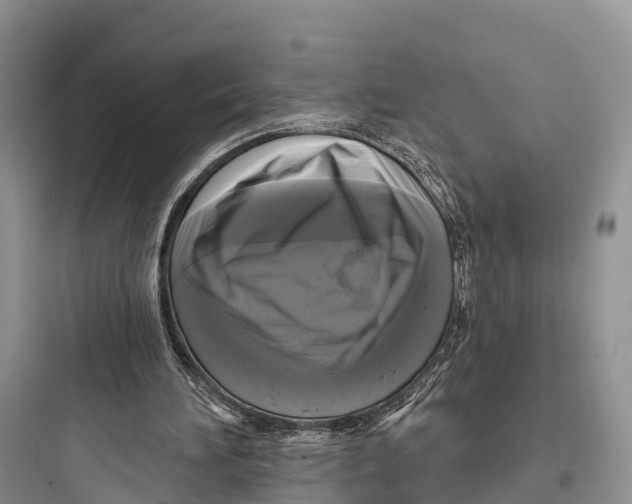 X0000097590196200803211644