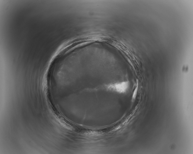 X0000097590198200803211644