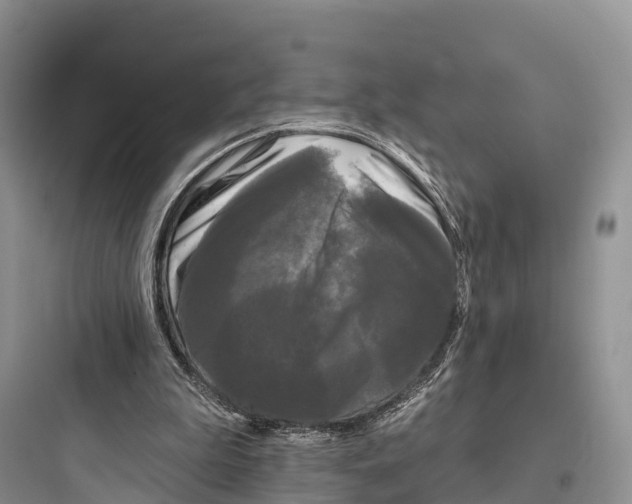 X0000097590199200803211644