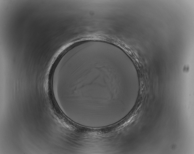 X0000097590200200803211644