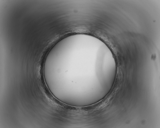 X0000097590201200803211644