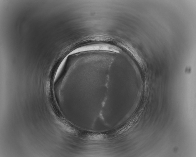 X0000097590202200803211644