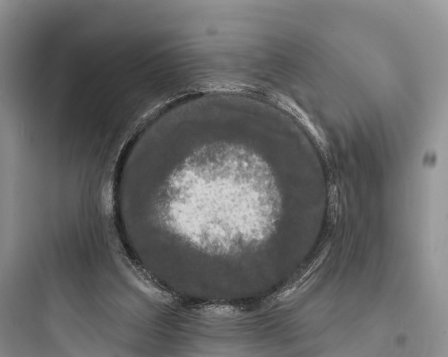 X0000097590203200803211644