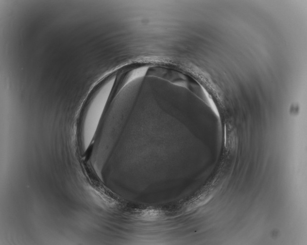 X0000097590204200803211644