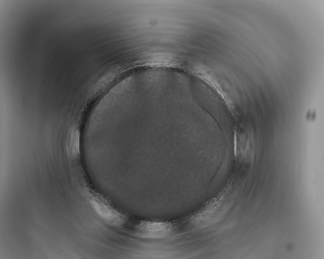 X0000097590205200803211644