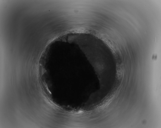 X0000097590207200803211644