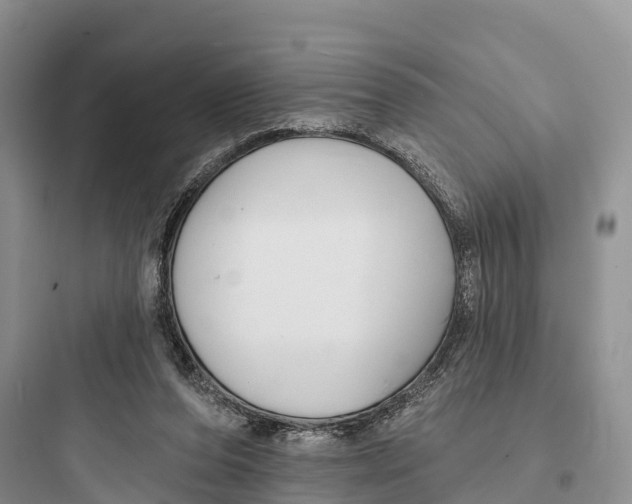 X0000097590208200803211644