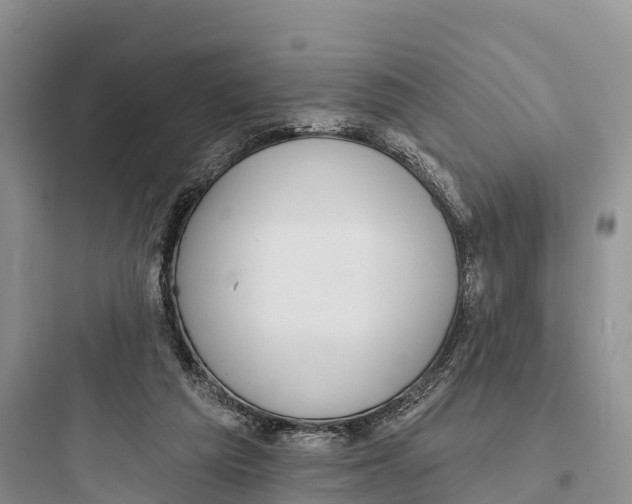 X0000097590209200803211644