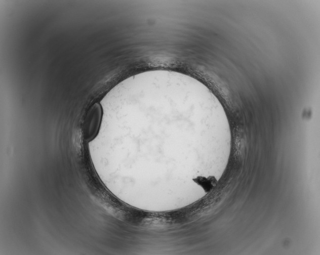 X0000097590211200803211644