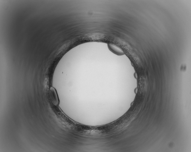 X0000097590212200803211644