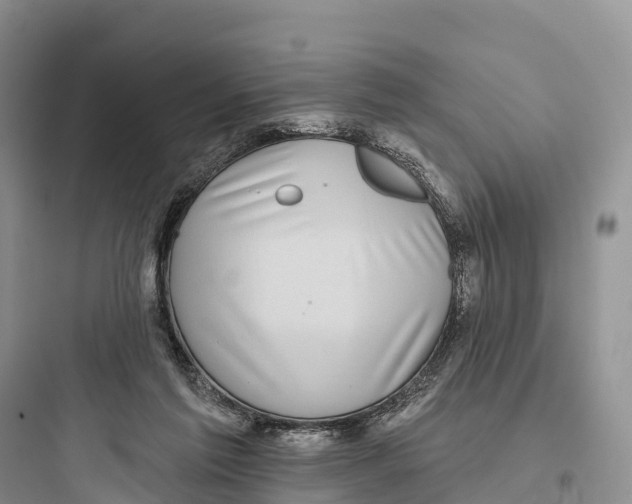 X0000097590213200803211644