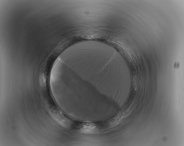 X0000097590214200803211644