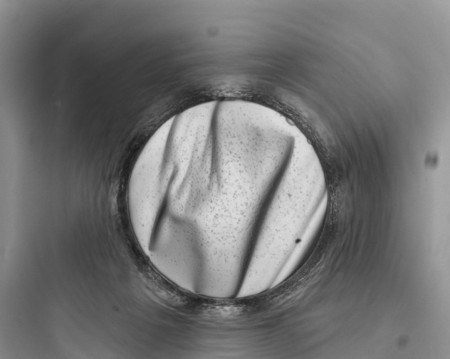 X0000097590217200803211644