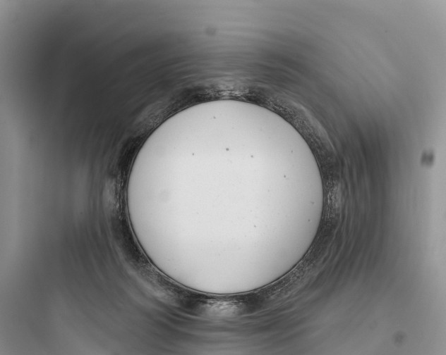 X0000097590218200803211644