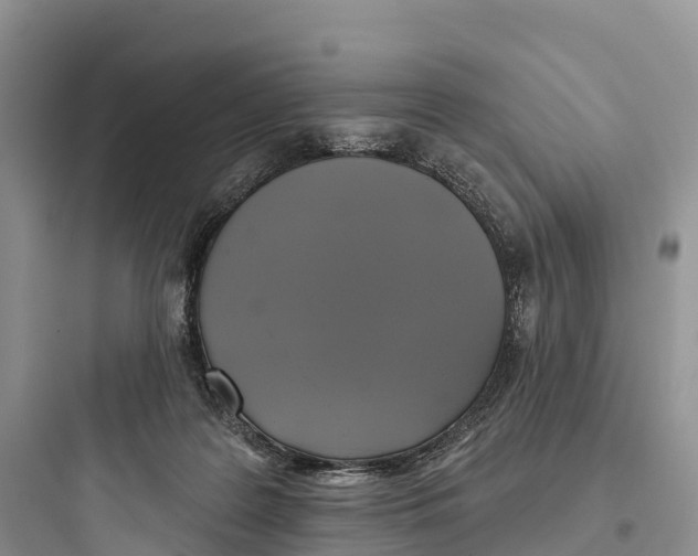 X0000097590219200803211644