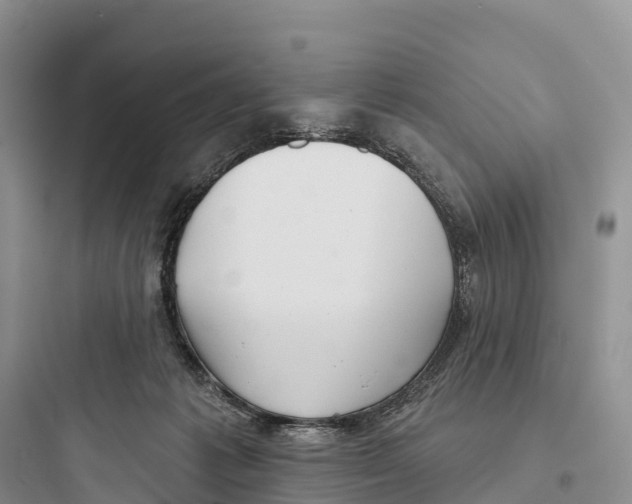 X0000097590221200803211644