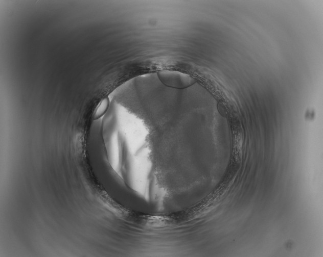 X0000097590222200803211644