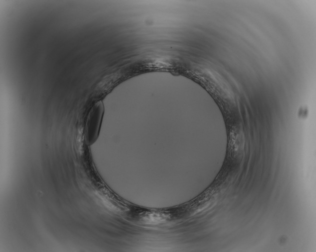 X0000097590223200803211644