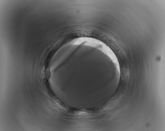 X0000097590224200803211644