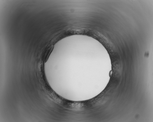 X0000097590225200803211644