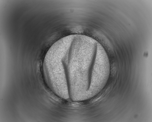 X0000097590229200803211643