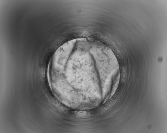 X0000097590230200803211643