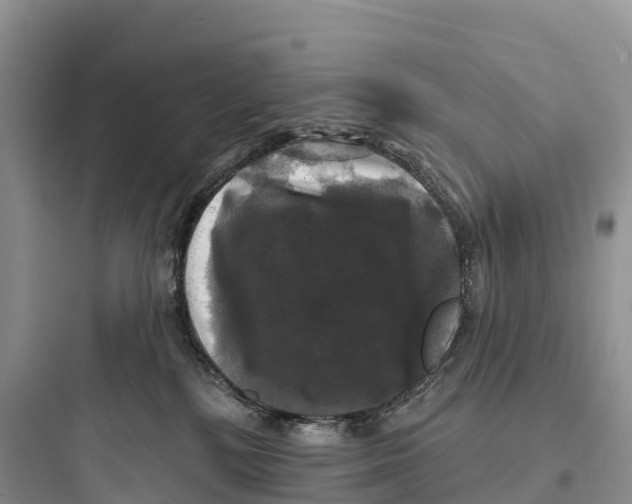 X0000097590232200803211643