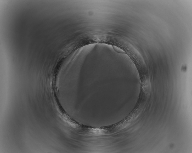 X0000097590233200803211643