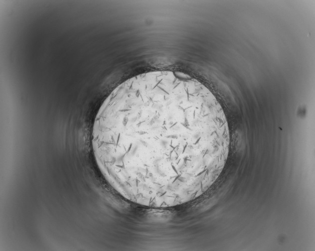 X0000097590234200803211643