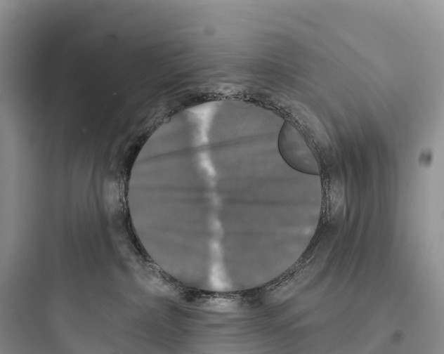 X0000097590236200803211643