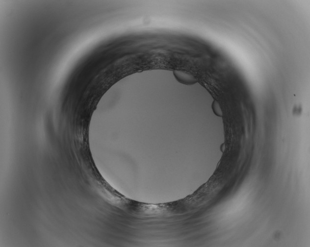 X0000097590239200803211643