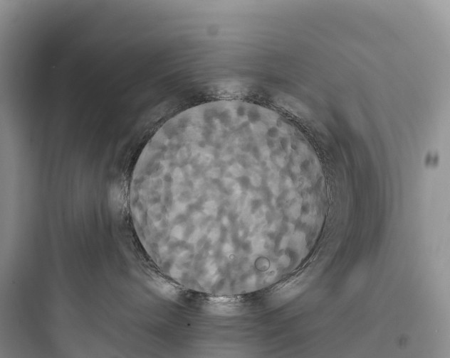 X0000097590240200803211643