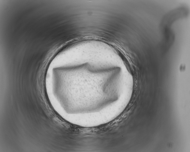 X0000097590241200803211643