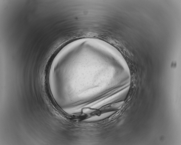 X0000097590242200803211643