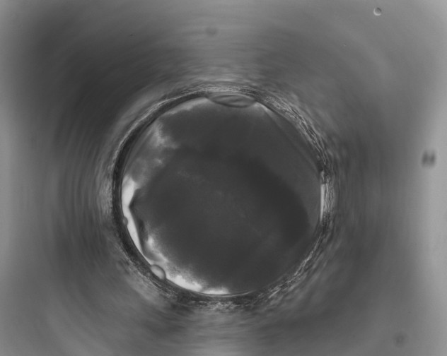 X0000097590243200803211643