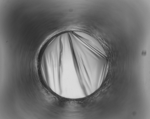 X0000097590244200803211643