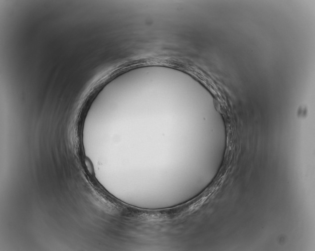 X0000097590245200803211643