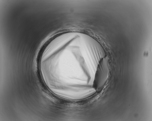 X0000097590246200803211643