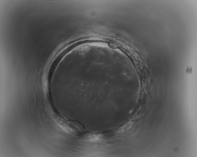 X0000097590247200803211643