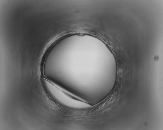 X0000097590248200803211643