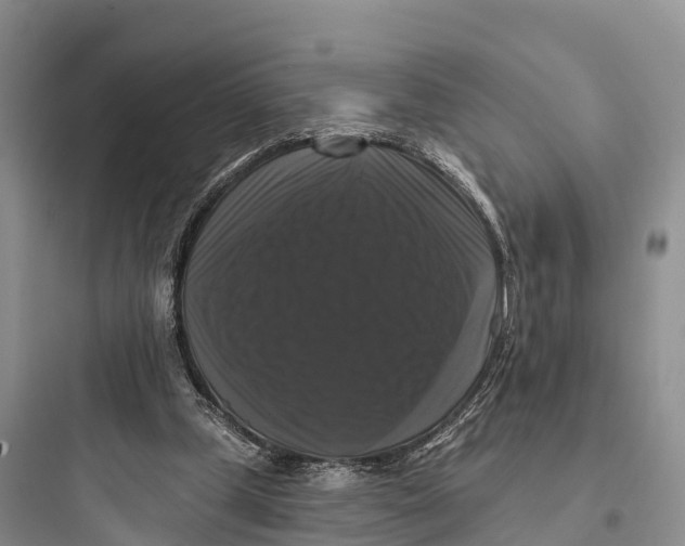 X0000097590249200803211643