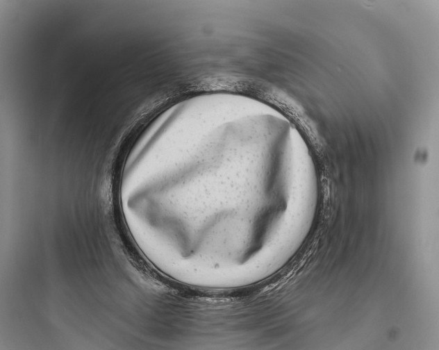 X0000097590250200803211643