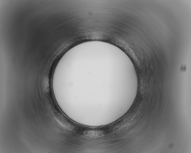 X0000097590251200803211643