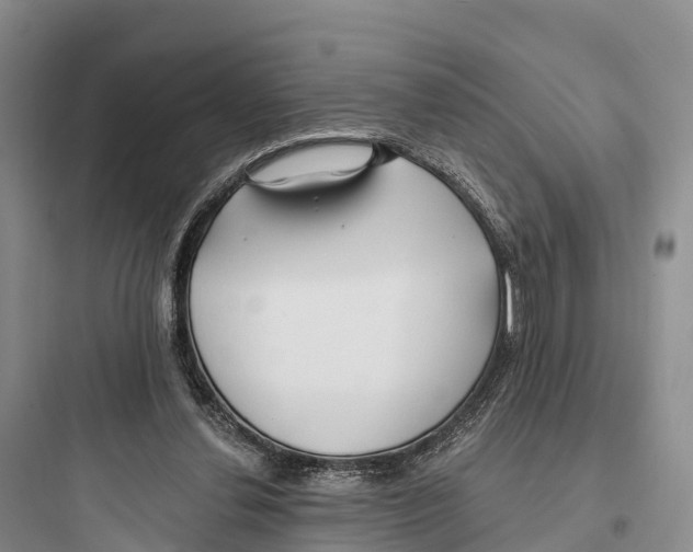 X0000097590252200803211643