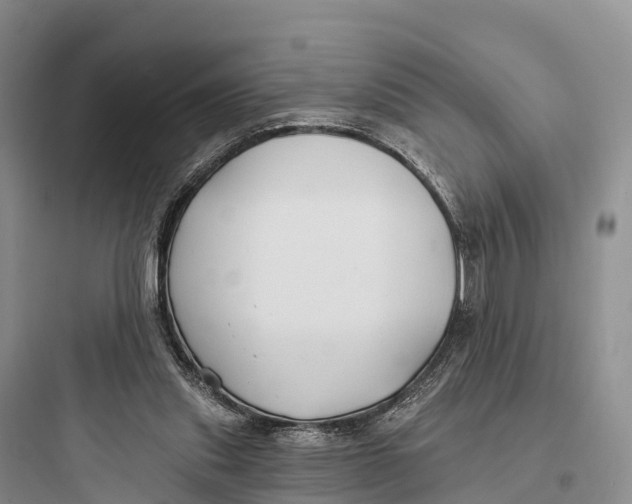 X0000097590253200803211643